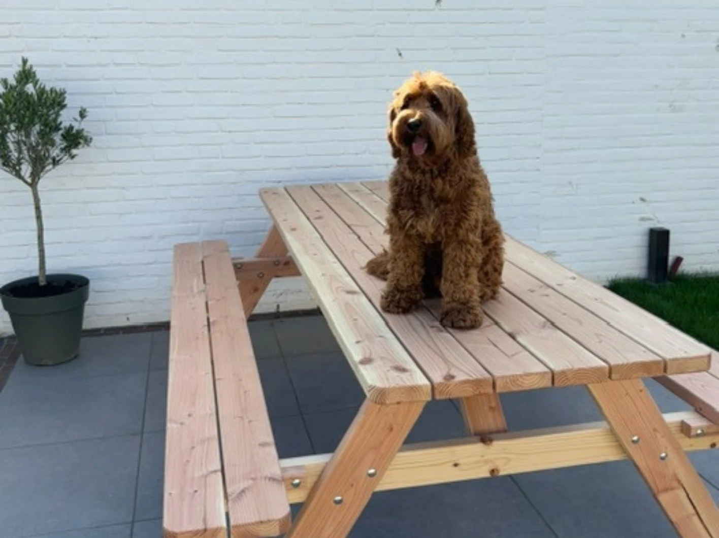 Douglas Picknicktafel Geschaafd - Lengte 240 cm - Afbeelding 2